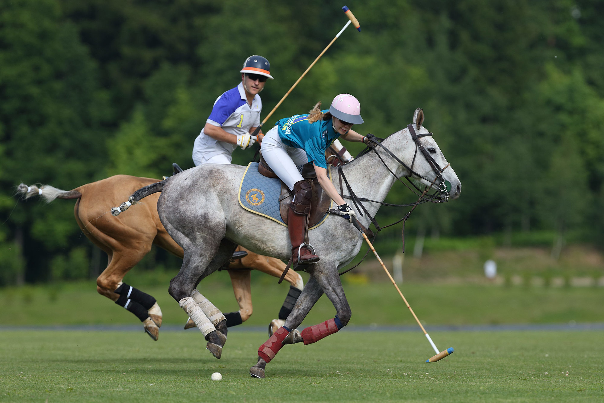 USPA Polo Horse Player Sport